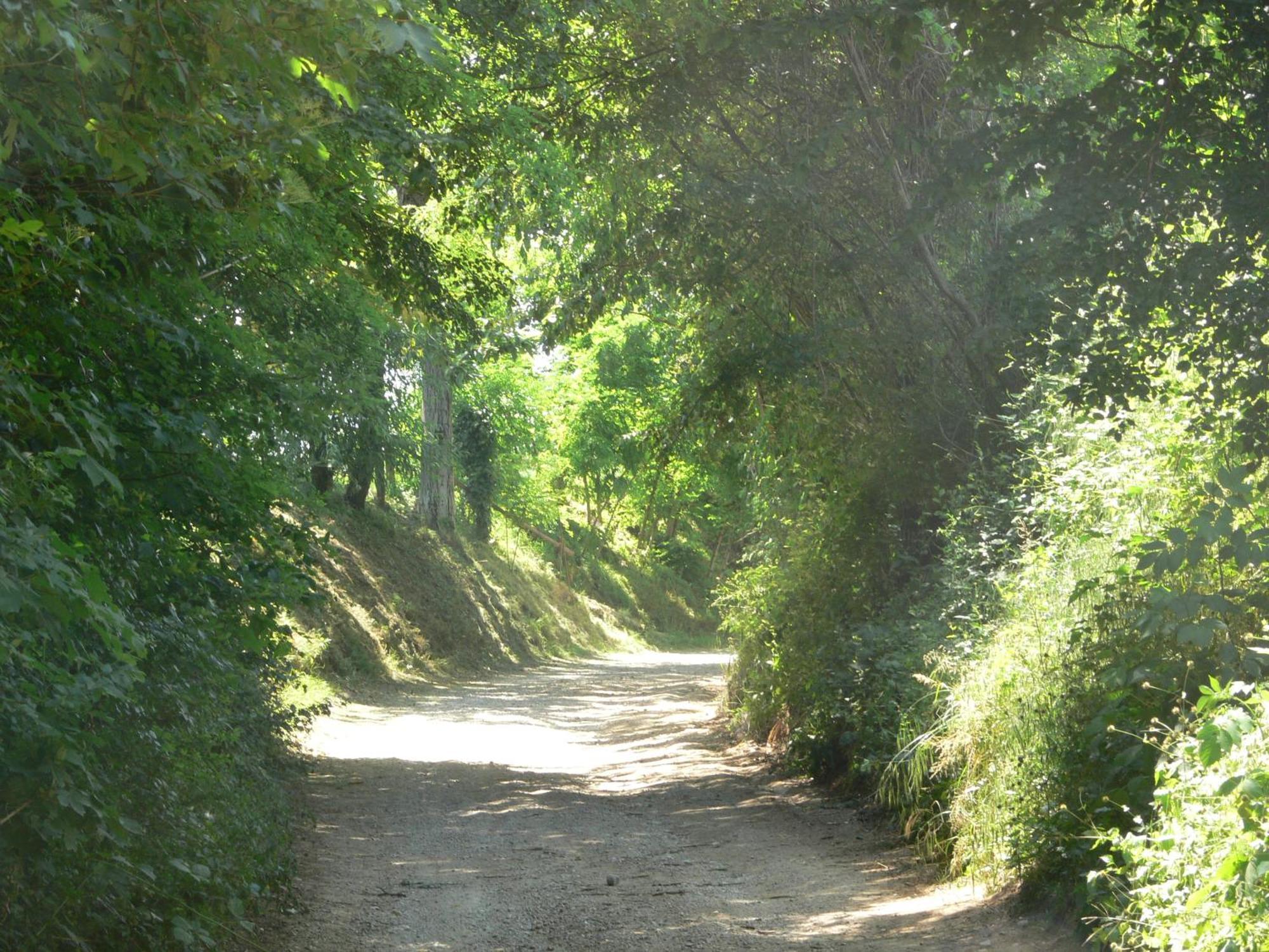 B&B Alla Santella Calvagese Della Riviera Exterior foto